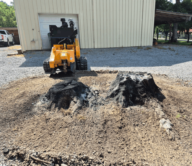 Large stumps in Jamestown TN yard before stump grinding service